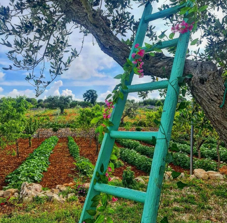 Vila Trulli Pax Animi Martina Franca Exteriér fotografie