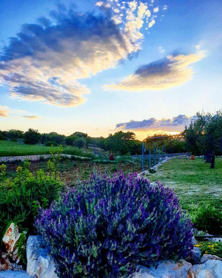 Vila Trulli Pax Animi Martina Franca Exteriér fotografie